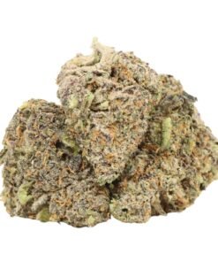 Four Star General Strain