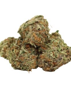 94 octane strain