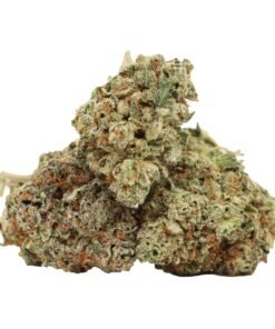 Atomic blueberry strain
