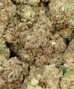 Atomic blueberry strain