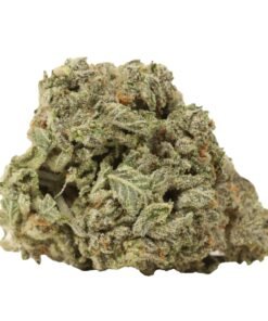 Atomic Bomb Strain