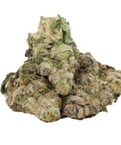 Ayahuasca Purple