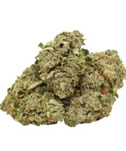 BC Pink Kush