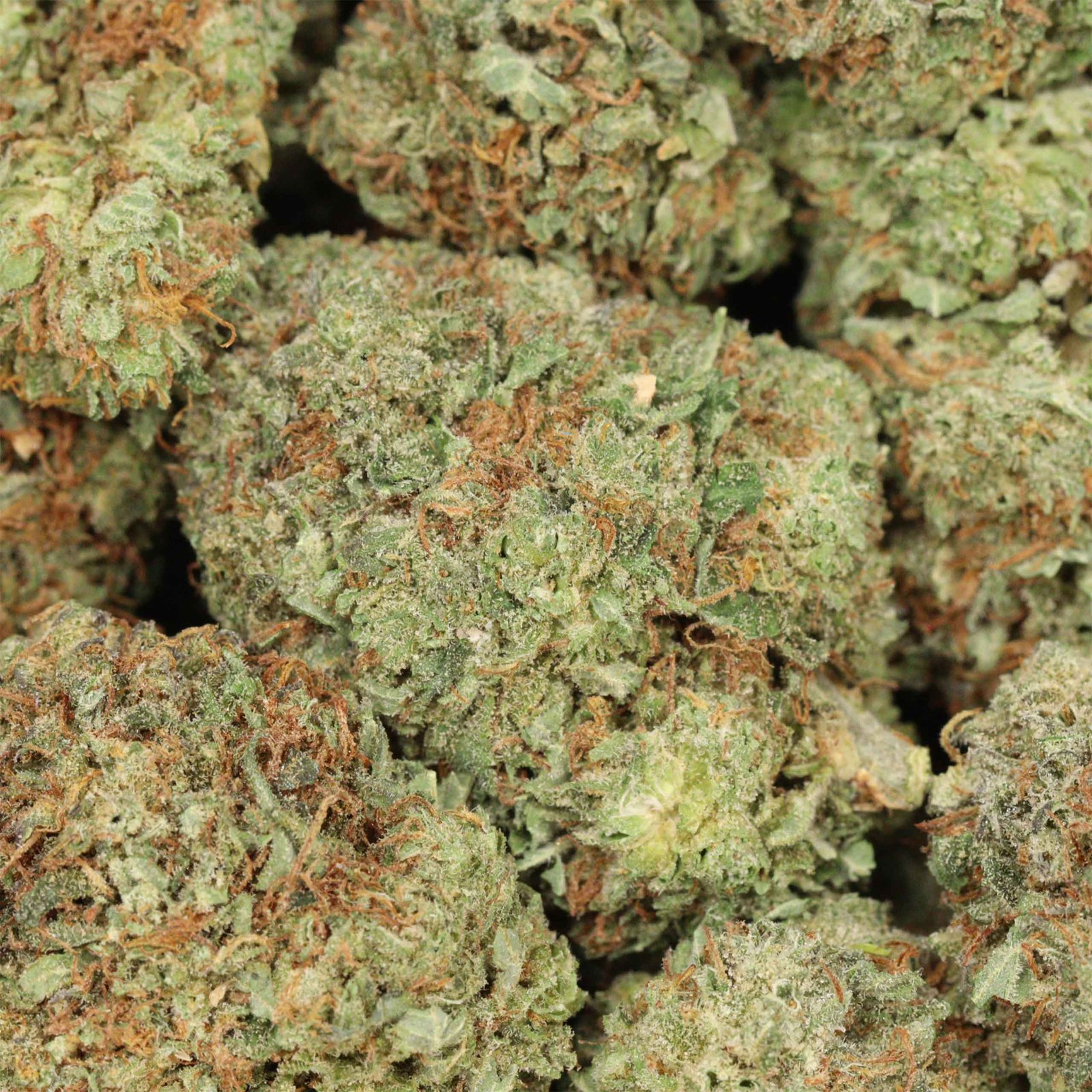 Black diamond strain - Image 3