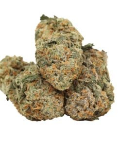 Black Mamba Strain