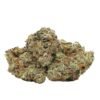 Blue Cheese Strain