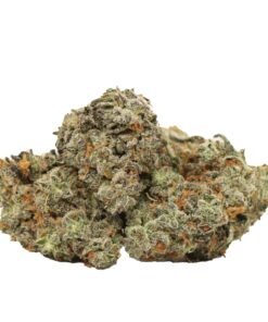 Blue Cheese Strain