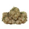 Blueberry AK Hybrid