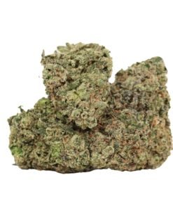Butterscotch Strain