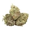Kaufe Caviar Pink Kush