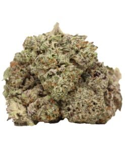 Dairy Queen Strain