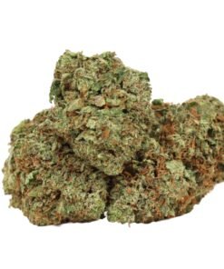 Dior Death Bubba