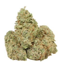 Durban Poison Strain