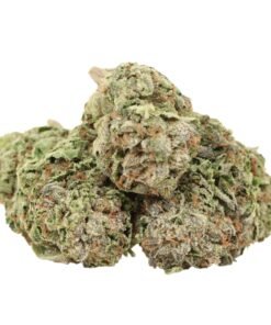 Gas Monkey Strain