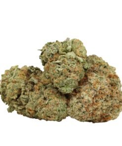 Gelato #33