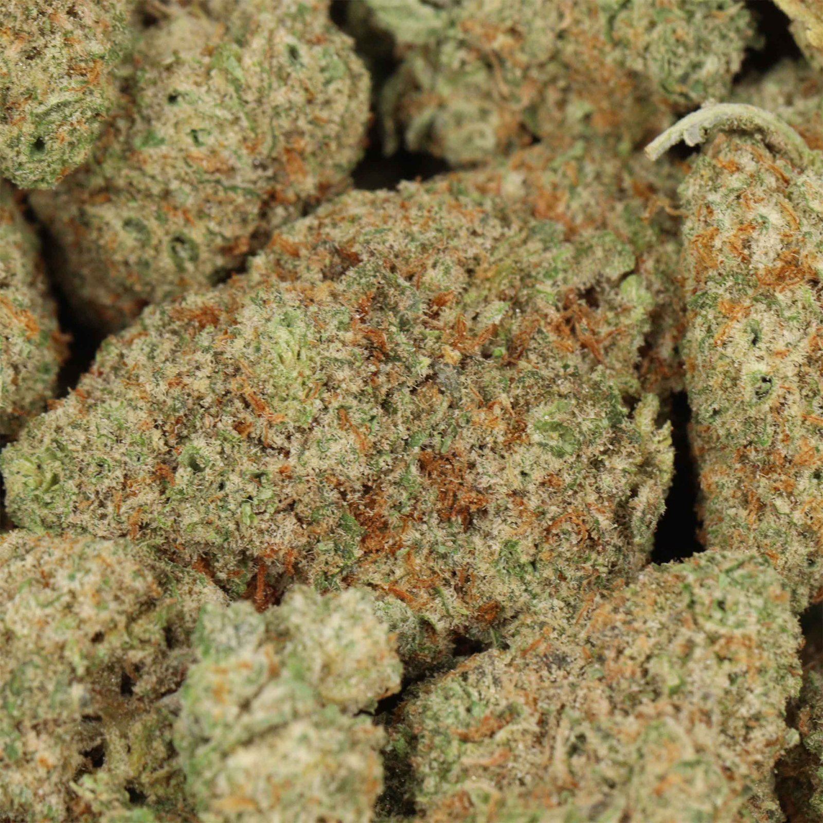 Gelato #33 - Image 2