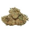 Gelato Strain