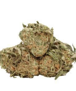 Gelato Strain