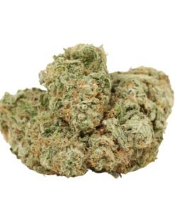 Girl Scout Cookies