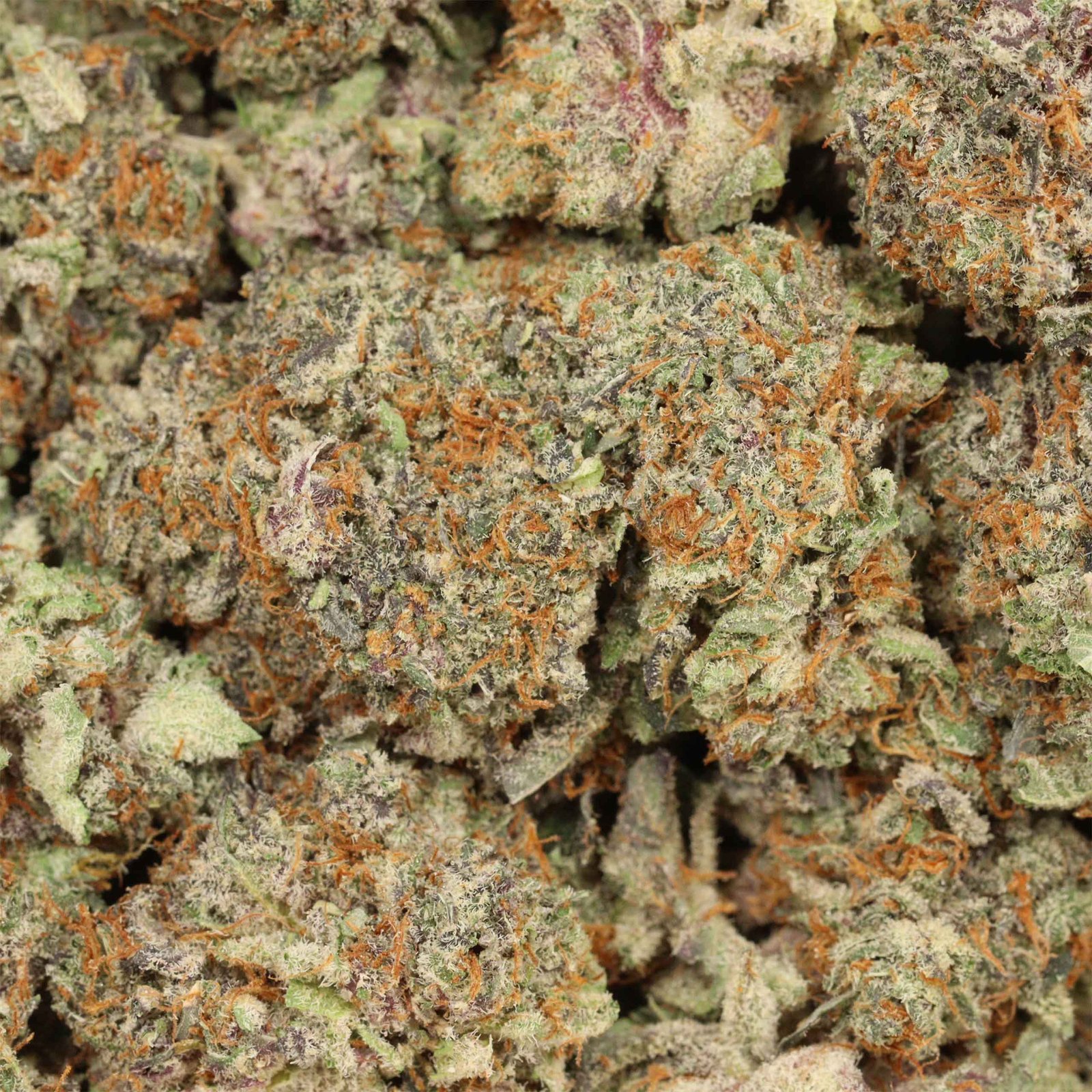 Happy Hour Strain - Image 3