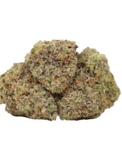Kaufen Sie Hawaiian Runtz Strain in Deutschland – Premium Exotic Cannabis 