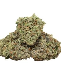 Kaufe Hydro Pink Kush