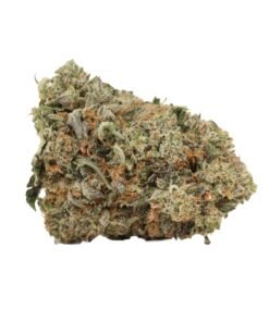 Kaufe Hydro Pink Kush