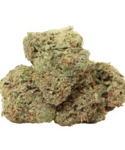 Jungle Mints