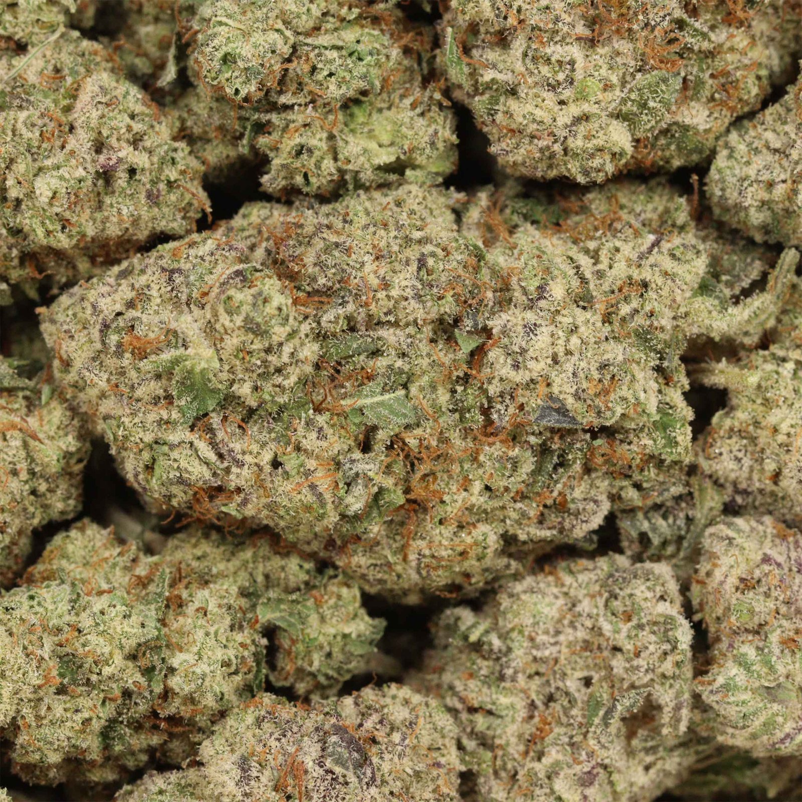 Khalifa Kush - Image 3