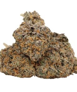 Kaufe Northern Lights Strain