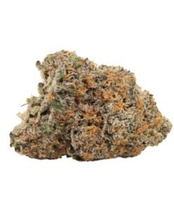 Kaufe Northern Lights Strain