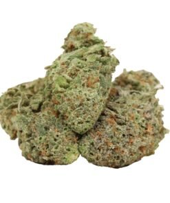 Nuken Strain