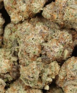 Alternative view of Peachy Mack Strain
