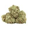 Pink Death Strain