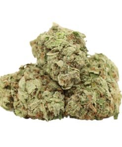 Pink Death Strain