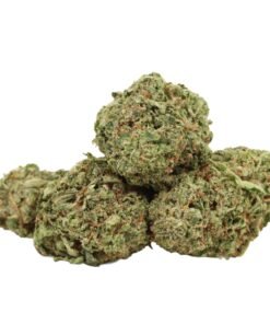 Pink Muerte Strain