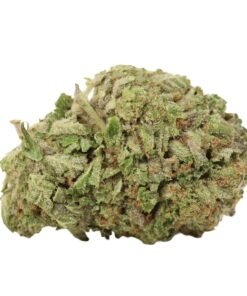 Pink Muerte Strain