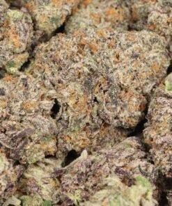 Purple Queen AAAA+ Indica Craft Strain