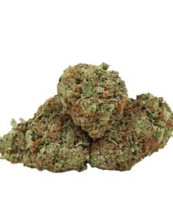 Stinky Pinky Strain