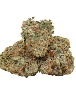 Sour Apple Killer Strain