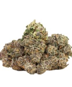 Tropicana Jet Fuel