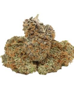 Kaufe Violator Kush
