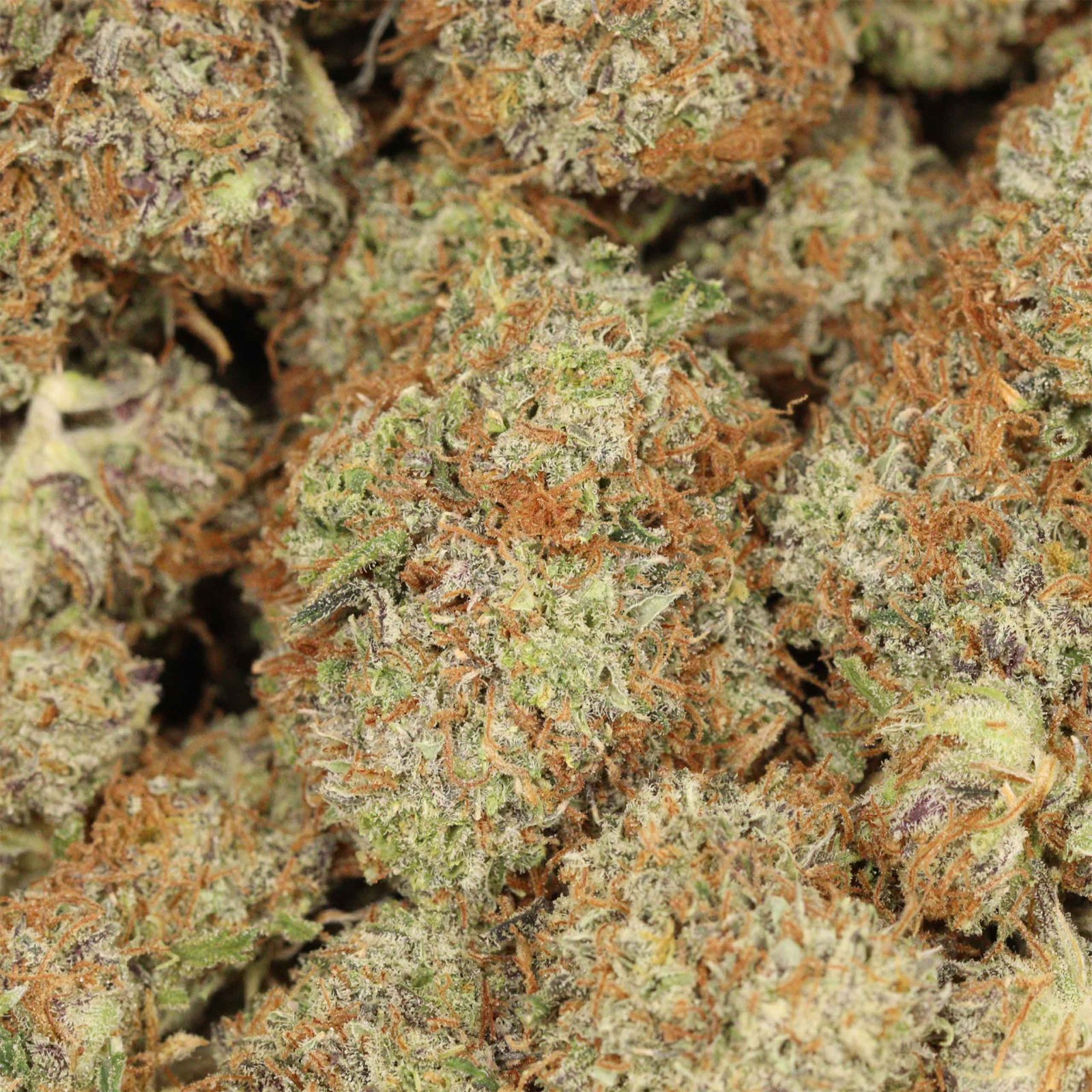Kaufe Violator Kush - Image 3