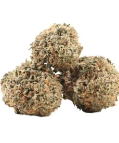 Kaufe Black Cherry OG