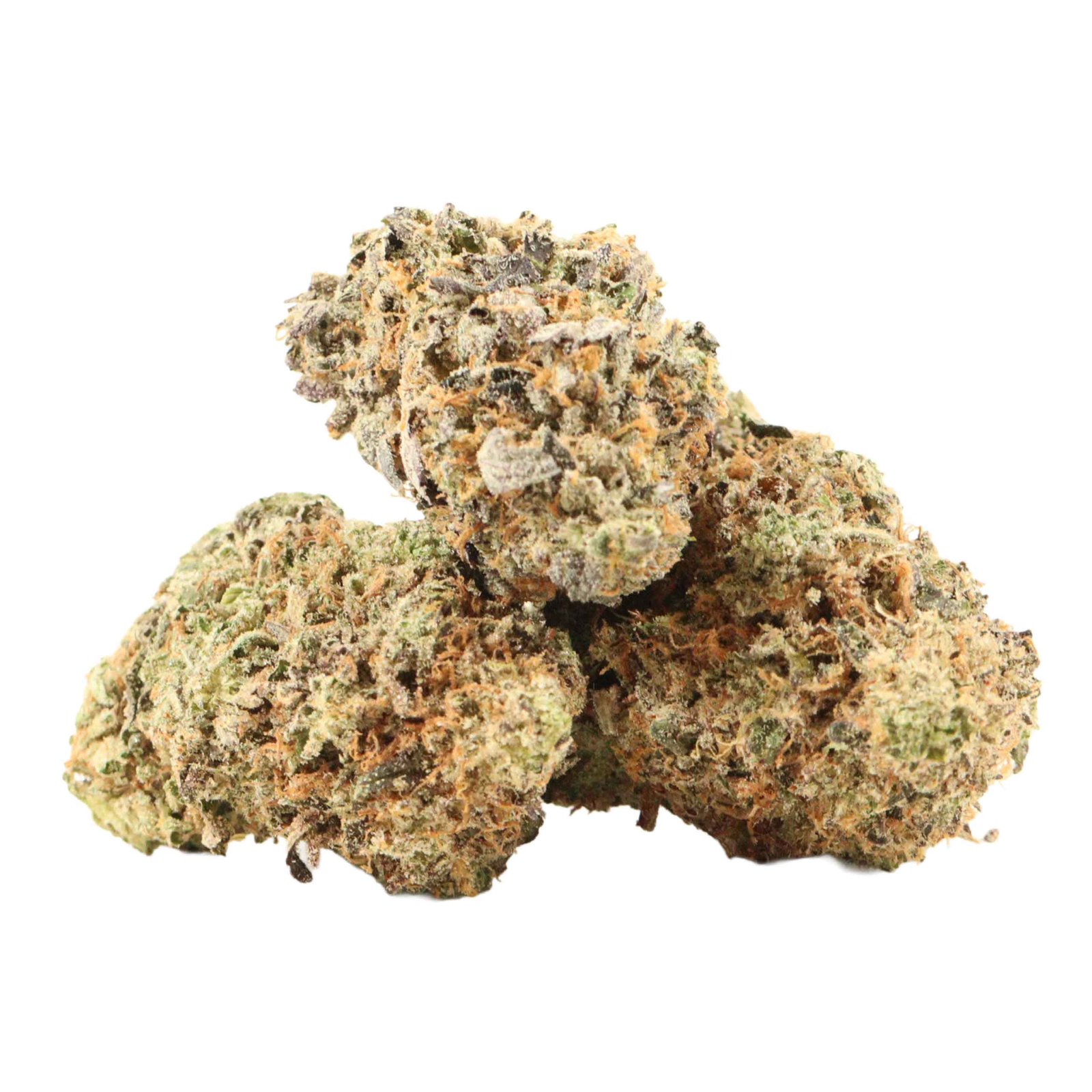 Black Tuna Strain