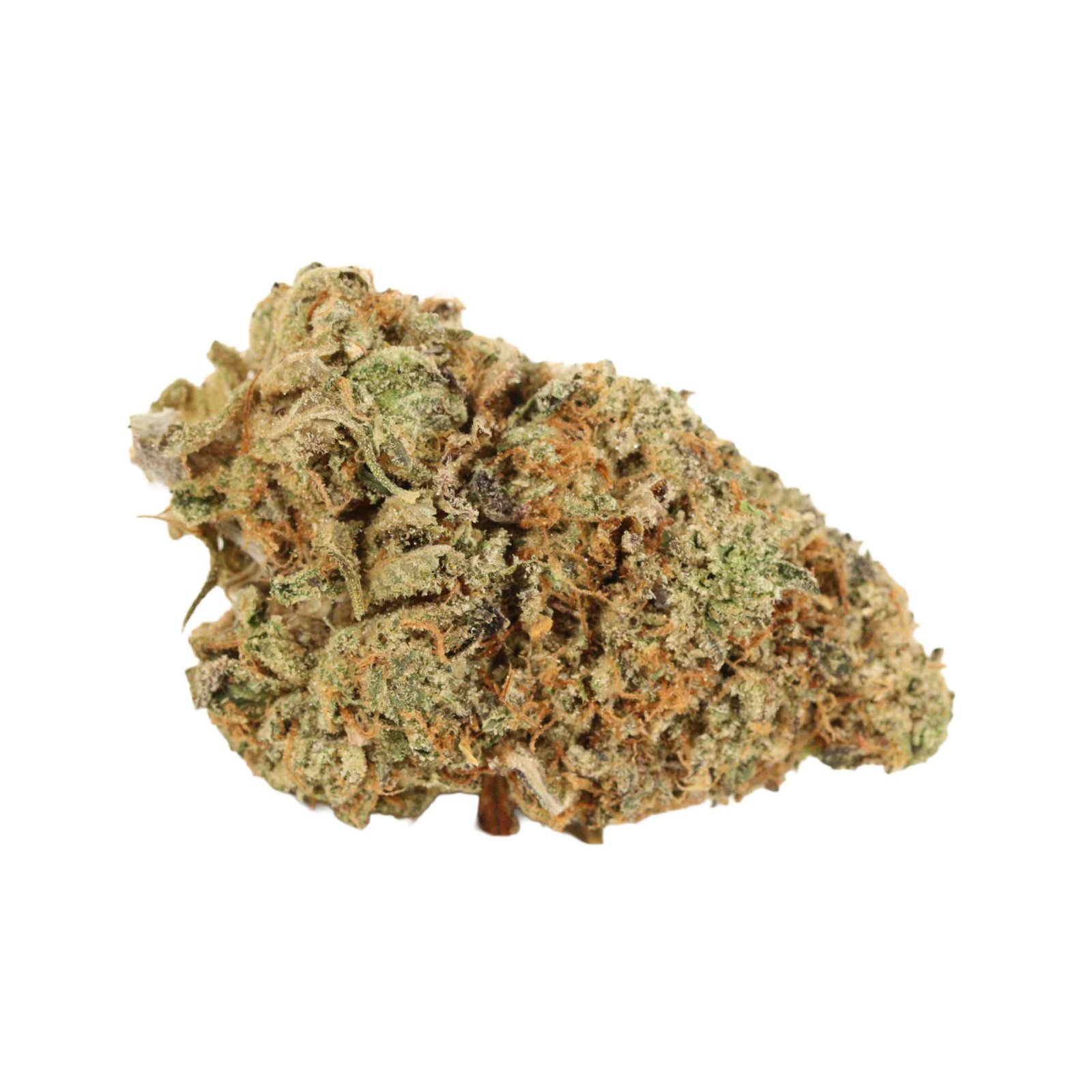 Black Tuna Strain - Image 4