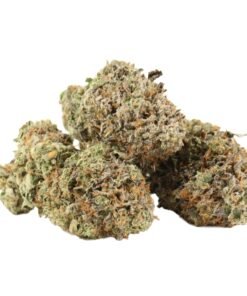 Comatose OG
