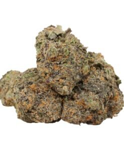 Dank Sinatra Strain