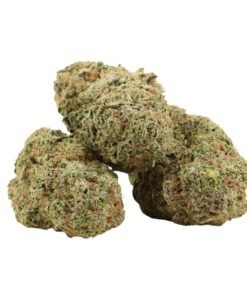 Lemon Kush