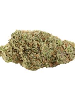 Maui Berry